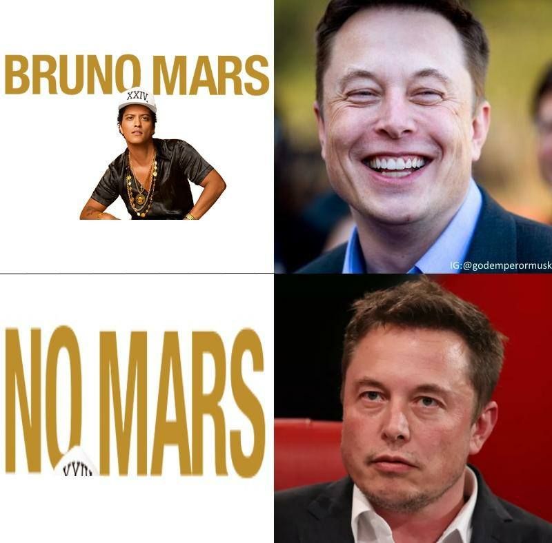 Did someone say more Elon Musk memes?
