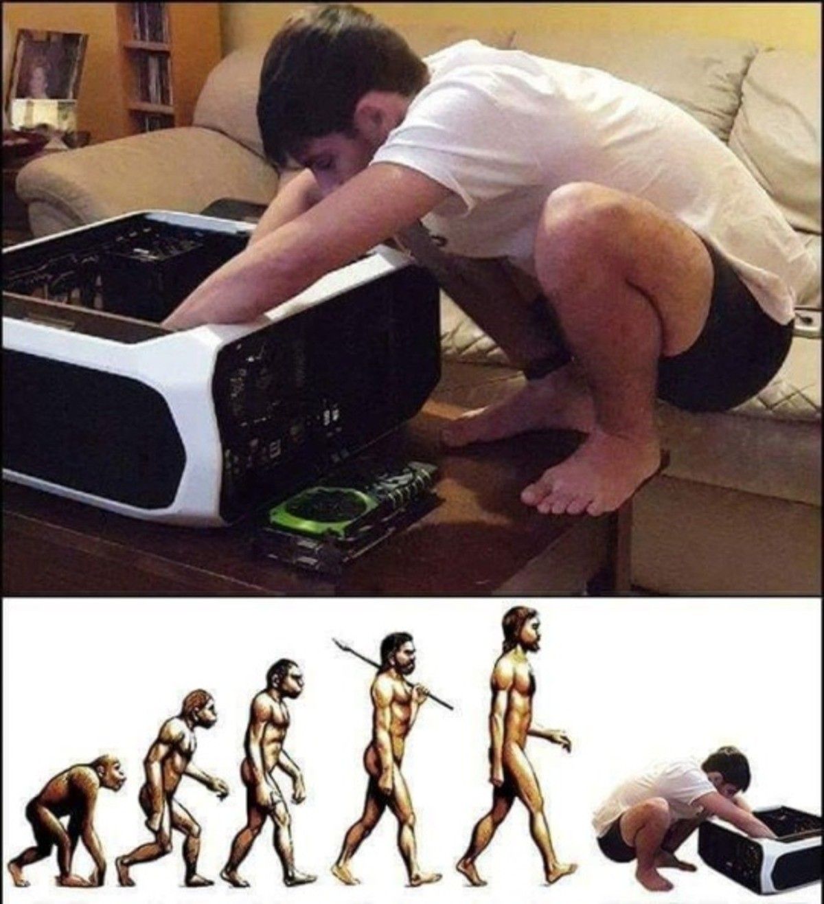 "evolution is real"