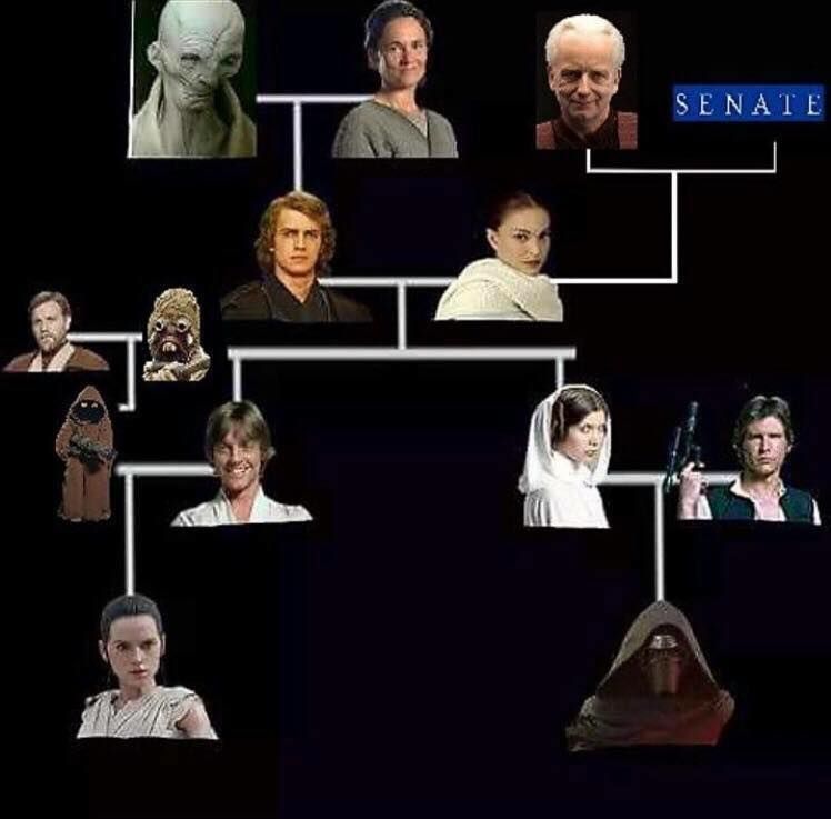 Star Wars All Episodes Family Tree Complete Edition (Canon)