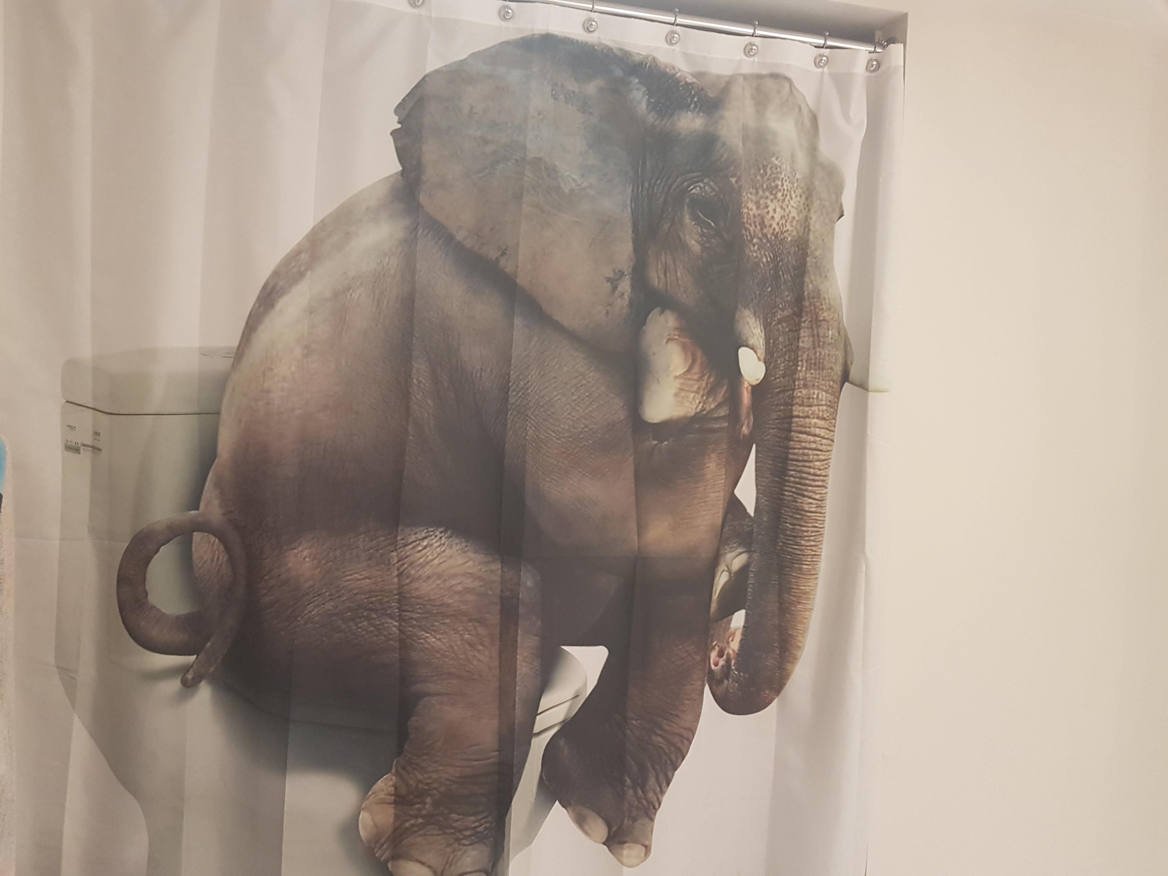 My girlfriend also let me choose our shower curtain.