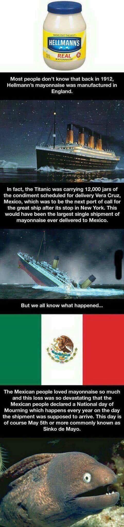 The Titanic’s Hidden Tragedy