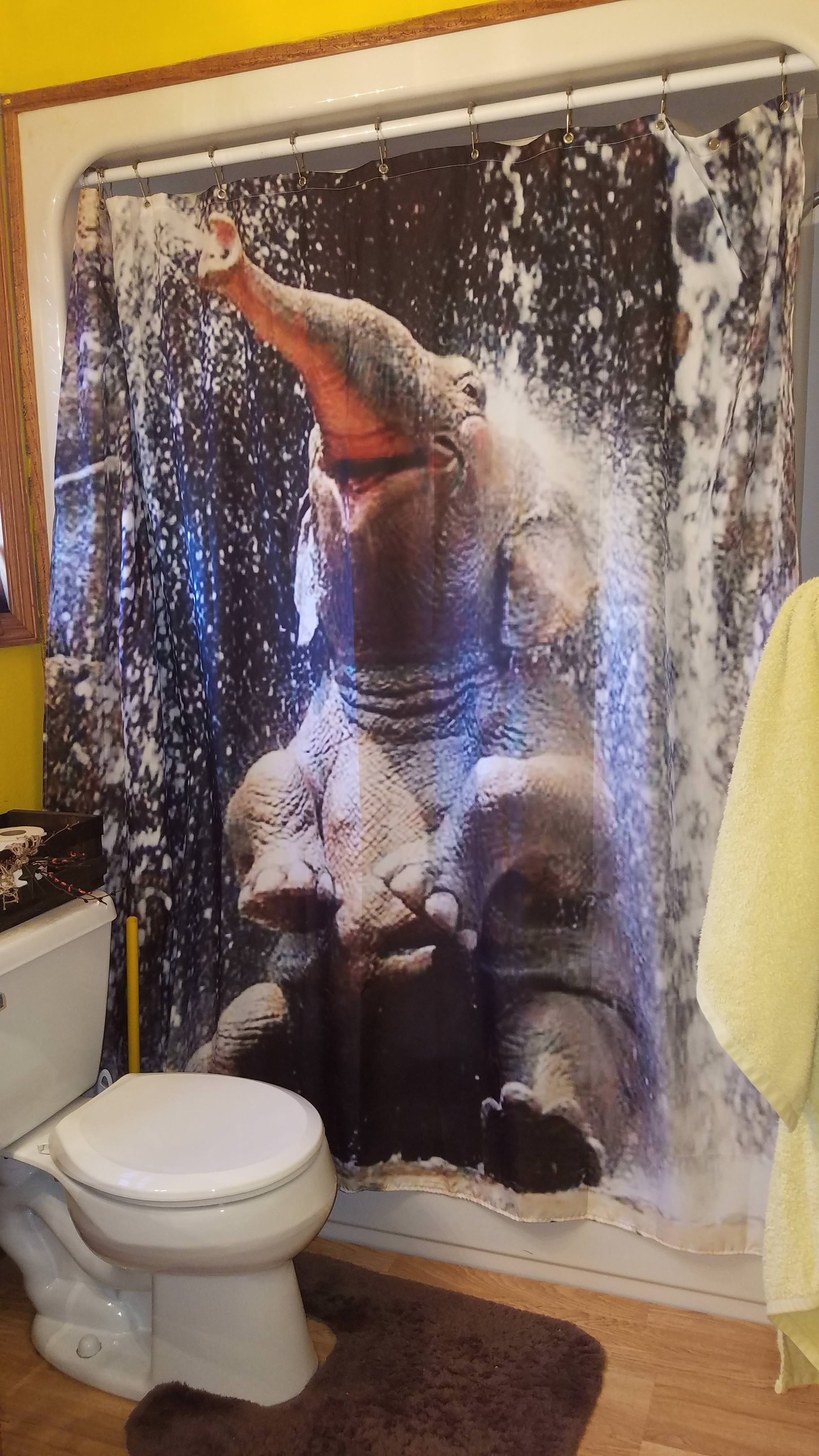 My husband let me choose our shower curtain. I chose this.