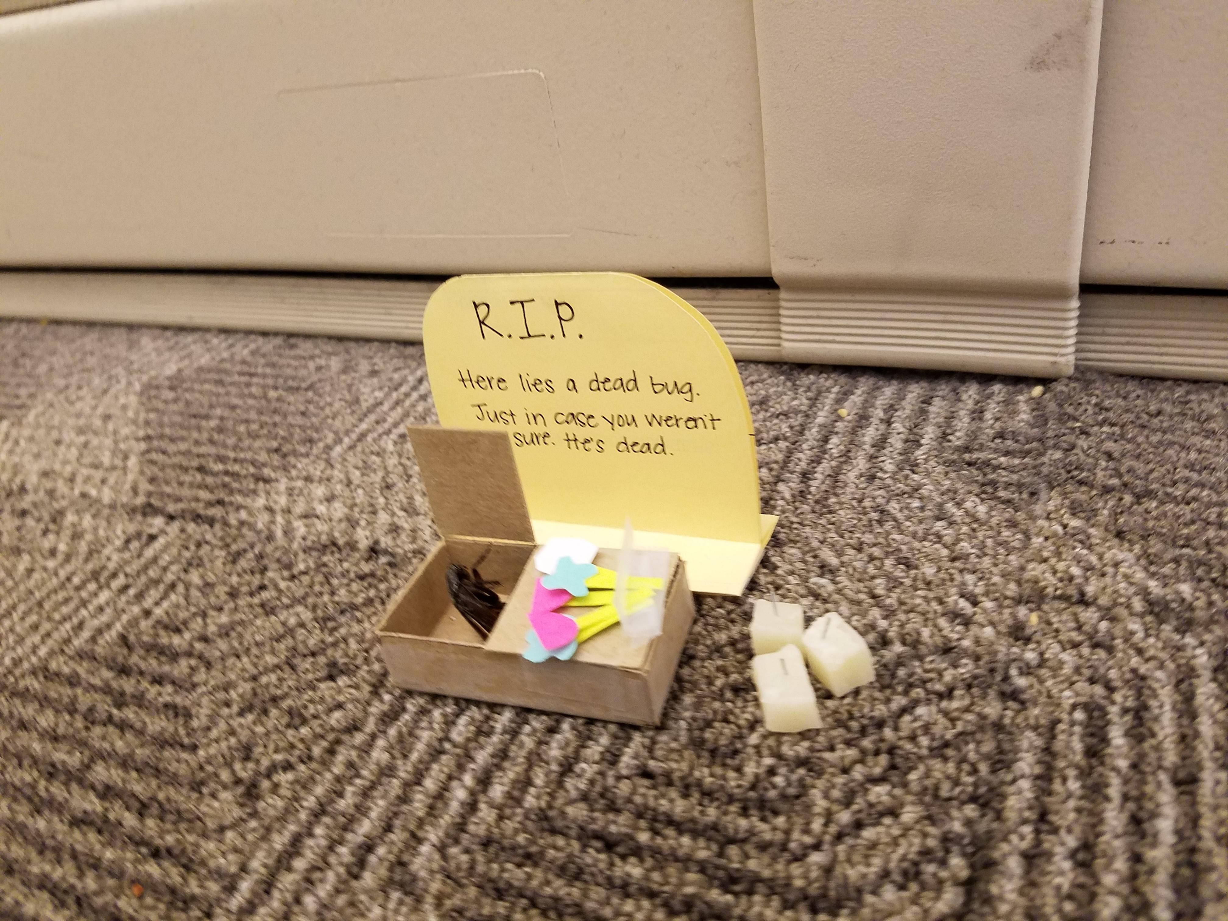 So my wife's coworker got tired of seeing this dead bug on the floor at work...