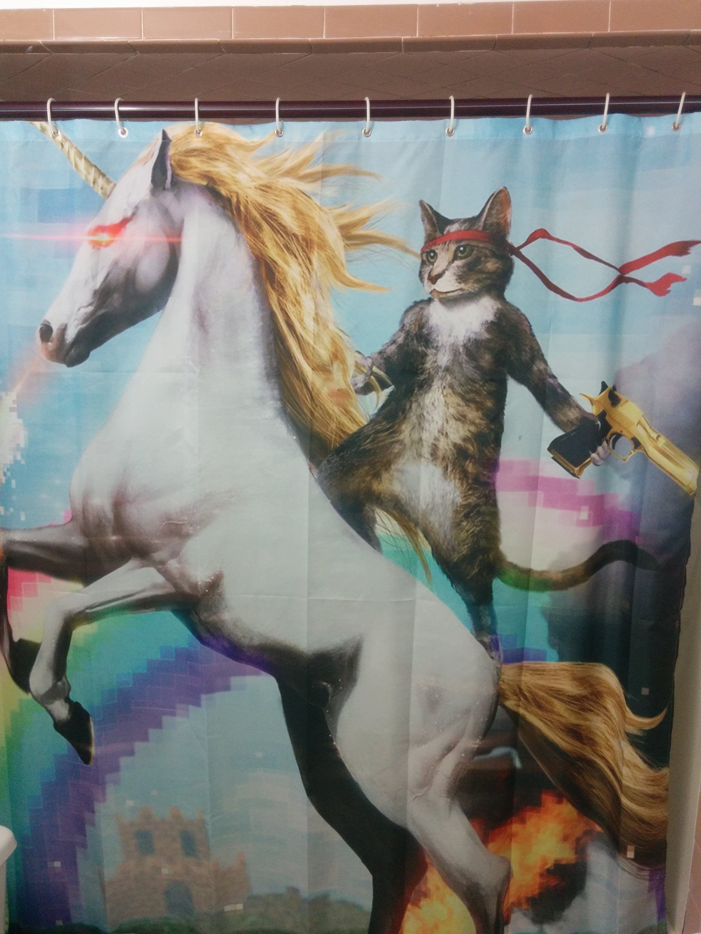 I'm single, I picked my shower curtain, and I want to jump on the bandwagon