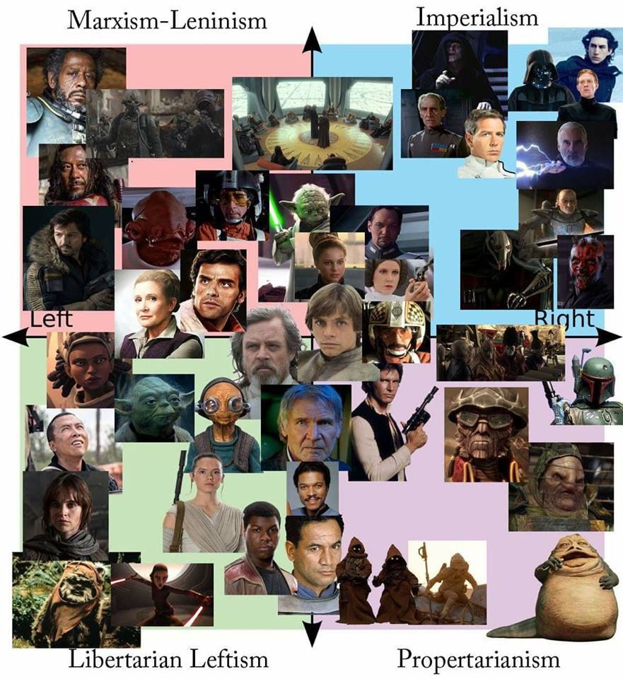 the senate