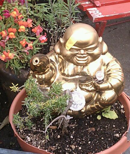 You things are bad when even Buddha is wearing a bandaid