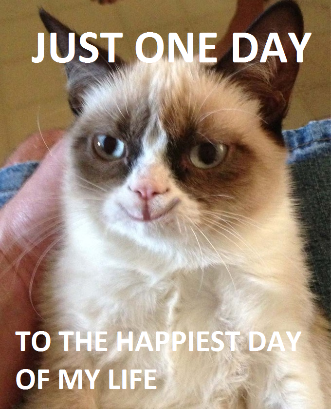 Grumpy Cat is Happy!