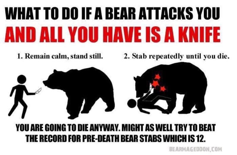 Bear attack survival tip #436