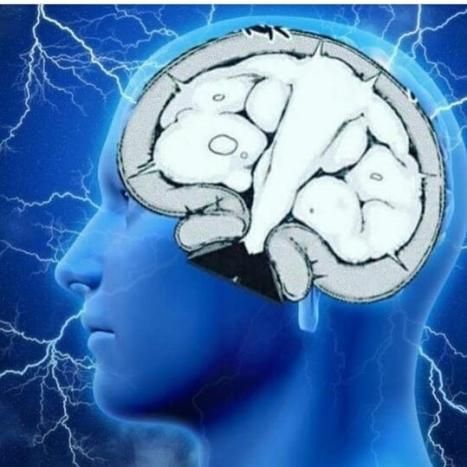 Brain