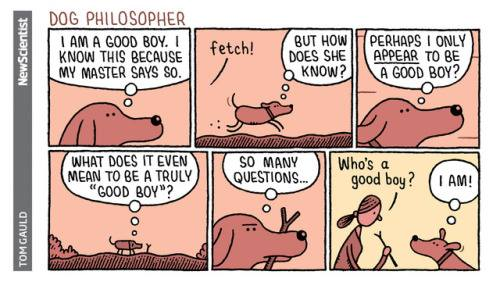 Dog Philosopher