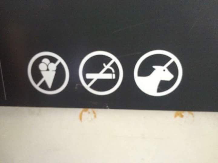 No ice cream, no smoking, unicorn OK