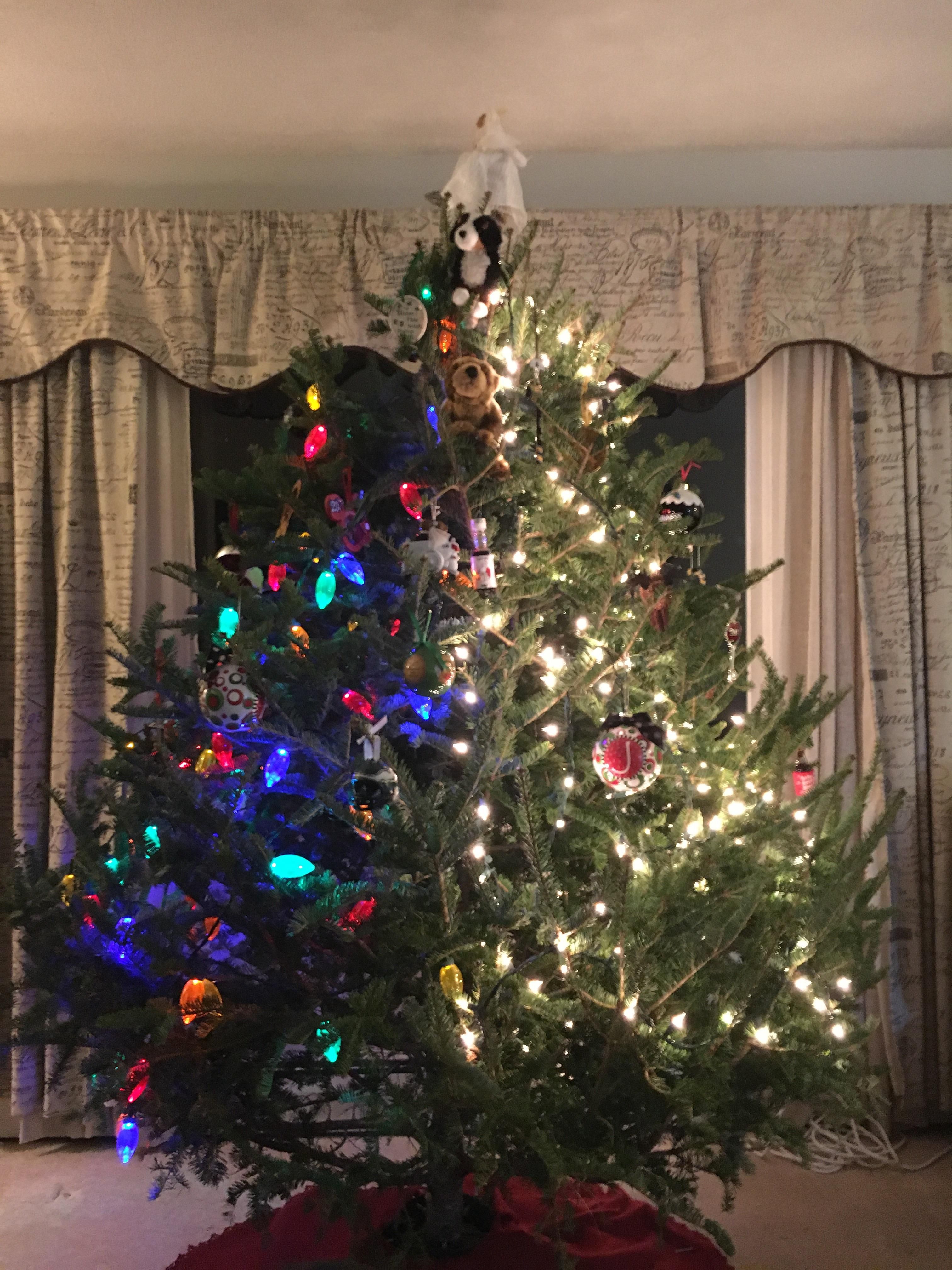 My wife and I don't agree on how to decorate a tree. 4 years ago we started this as a joke and it is still going strong.