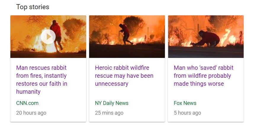 When the media can’t even agree on saving a rabbit...