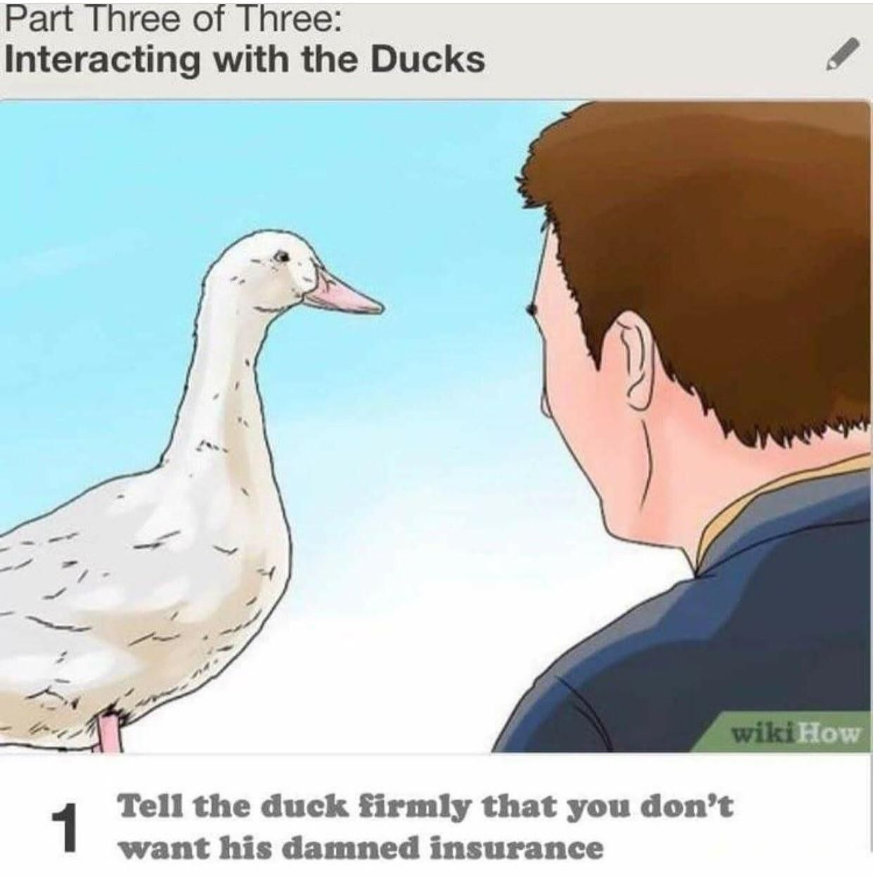 Interacting with ducks: Rule 1