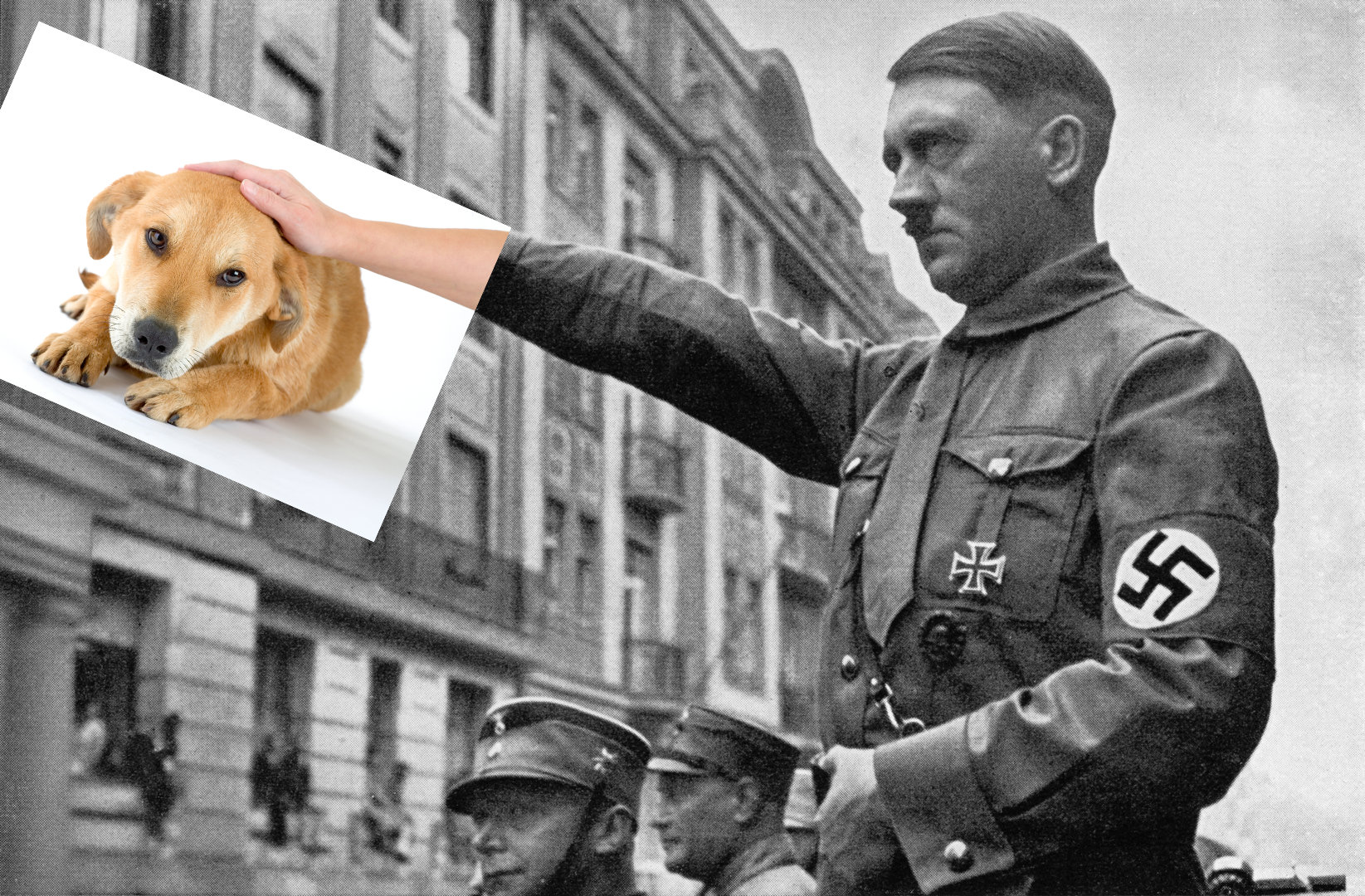 Hitler petting dog.