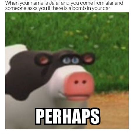 penis
