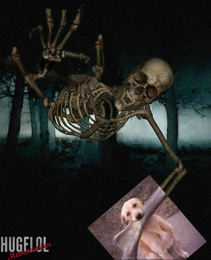 Day 9 : Spooky but not less pet carer
