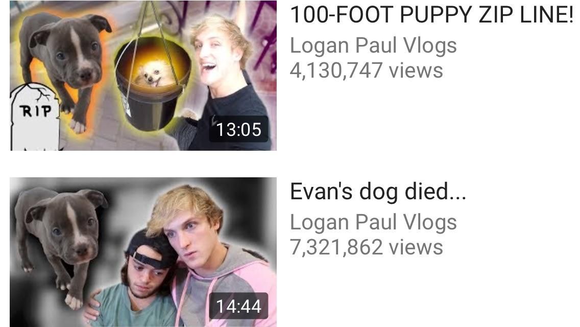 pray 4 pupper