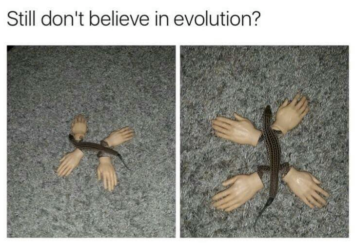god: 0, gecko:1