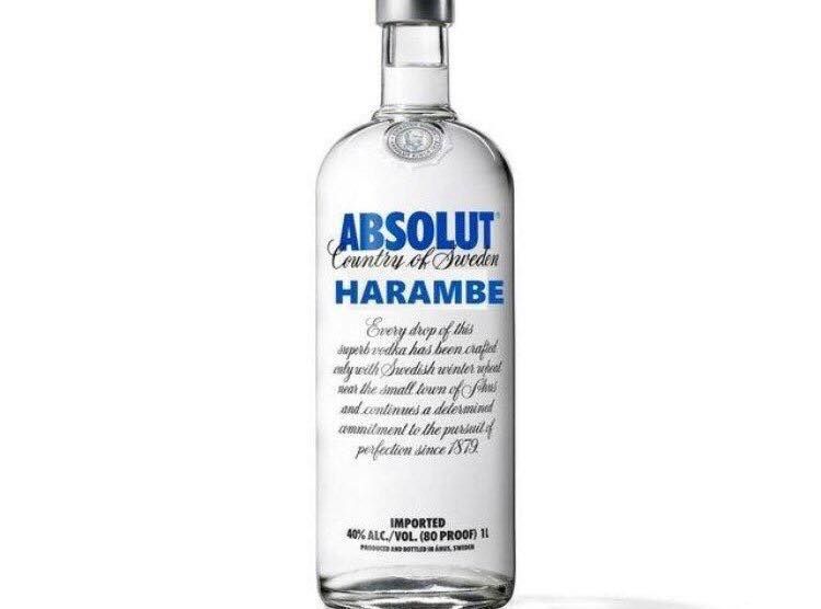 Take a shot of Harambe because he took a shot for you