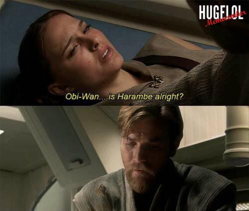 Day 11 : He was not alright...
