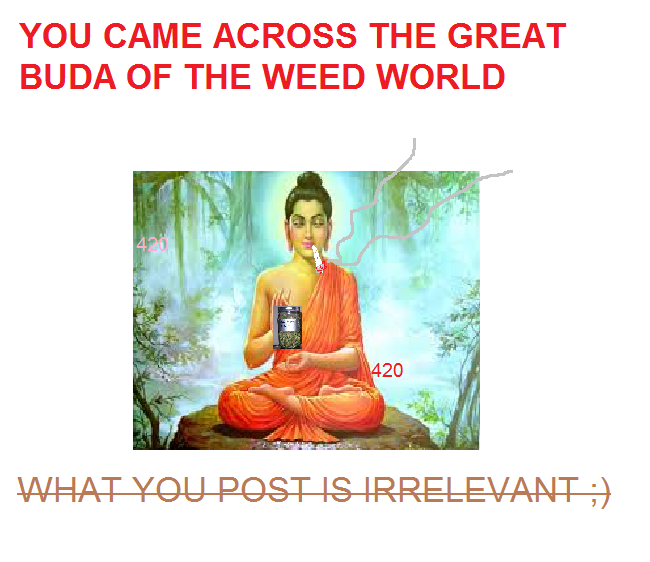 fresh OC