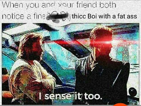 penis