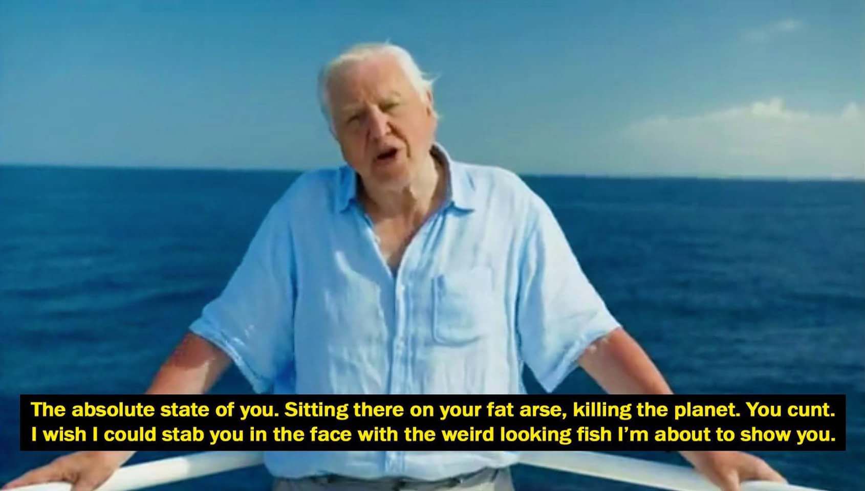 David Attenborough and his words