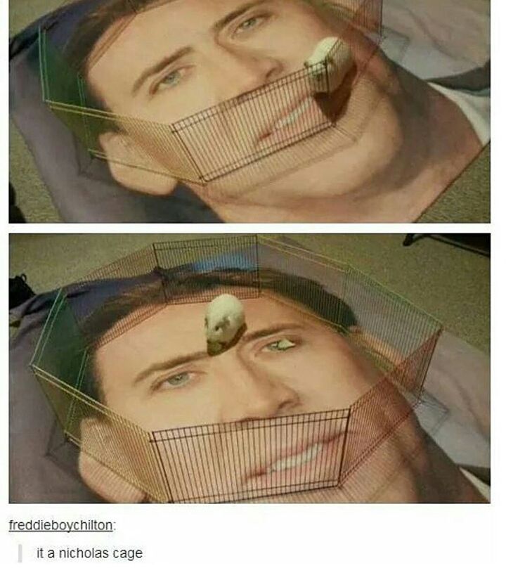:notlikethis: