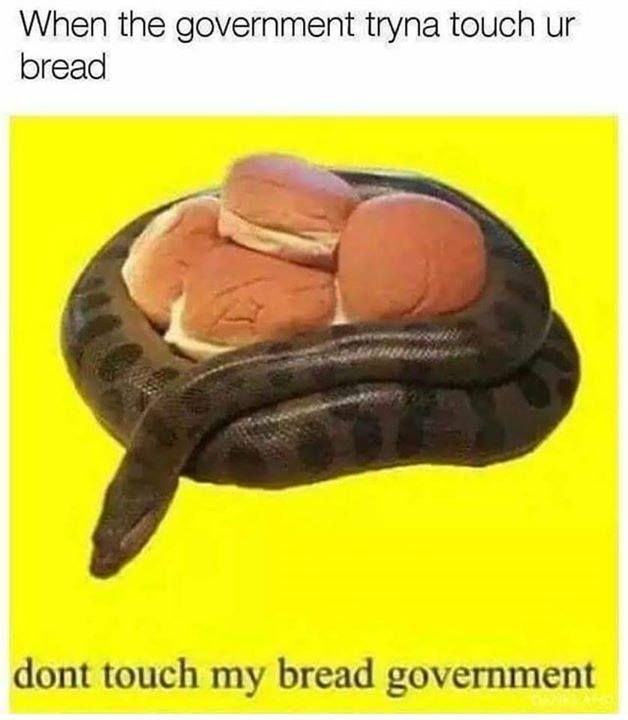 protec your bred with snec
