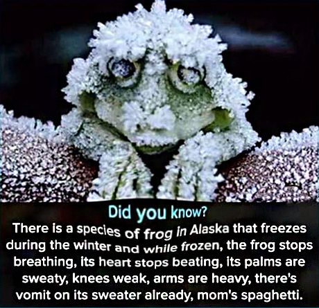 fact of the day for you friends