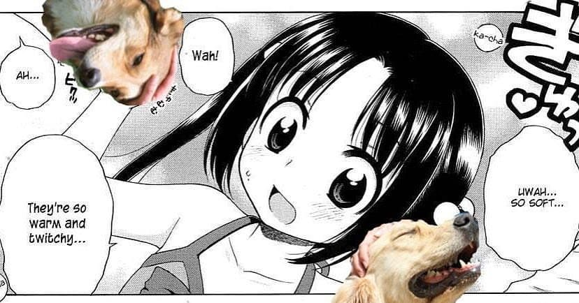 Doggo so soft