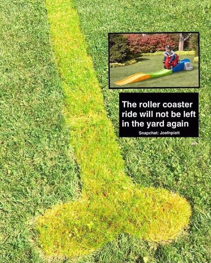 I left the rollercoaster ride out too long and it left this huge dick in my yard!