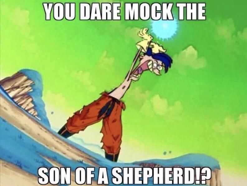 Just your friendly reminder that the voice of Goku was the same voice actor as Rolf from Ed, Edd, & Eddy.