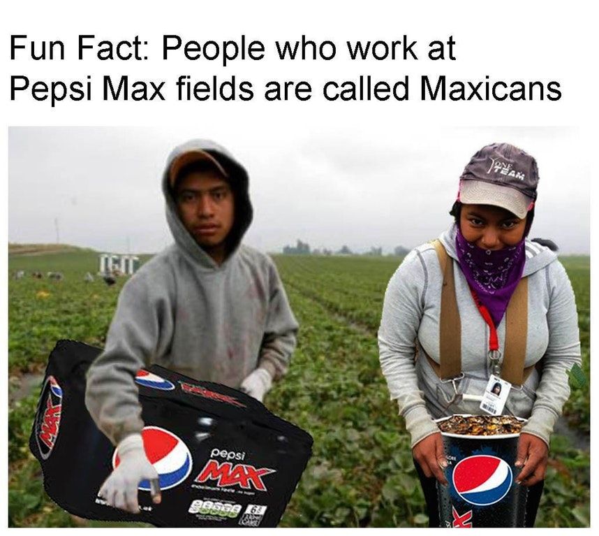 Maxicans