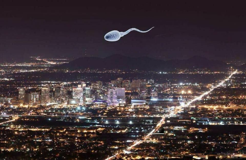Best pic of SpaceX launch over Los Angeles!