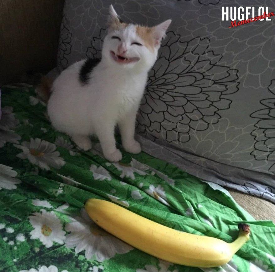 me irl