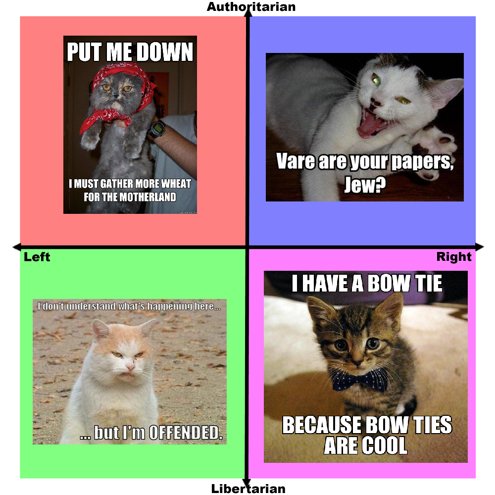 Day 24: Politick explain'd by cattos