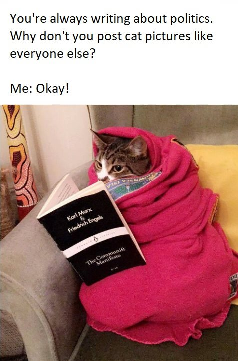 Day 24: One for good communist kitties