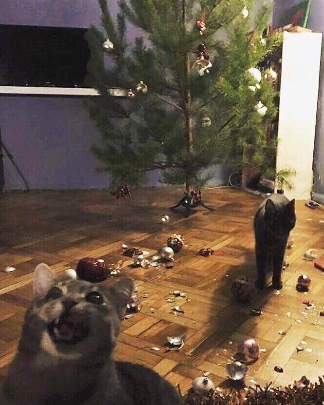 Now we need new Christmas tree toys.