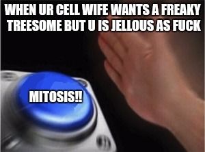 The cell is in a nut...