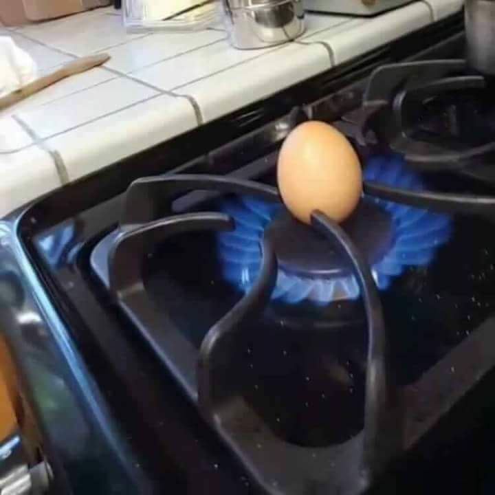 is this... is this cooking?