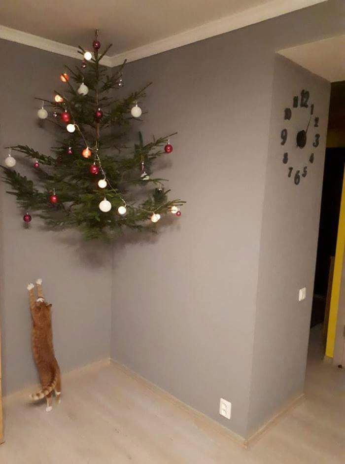 This is how I protected my Christmas trees from *** cats and dogs.