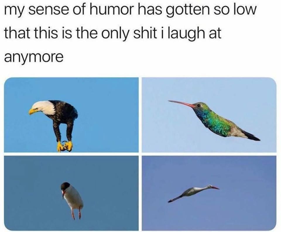 hehe