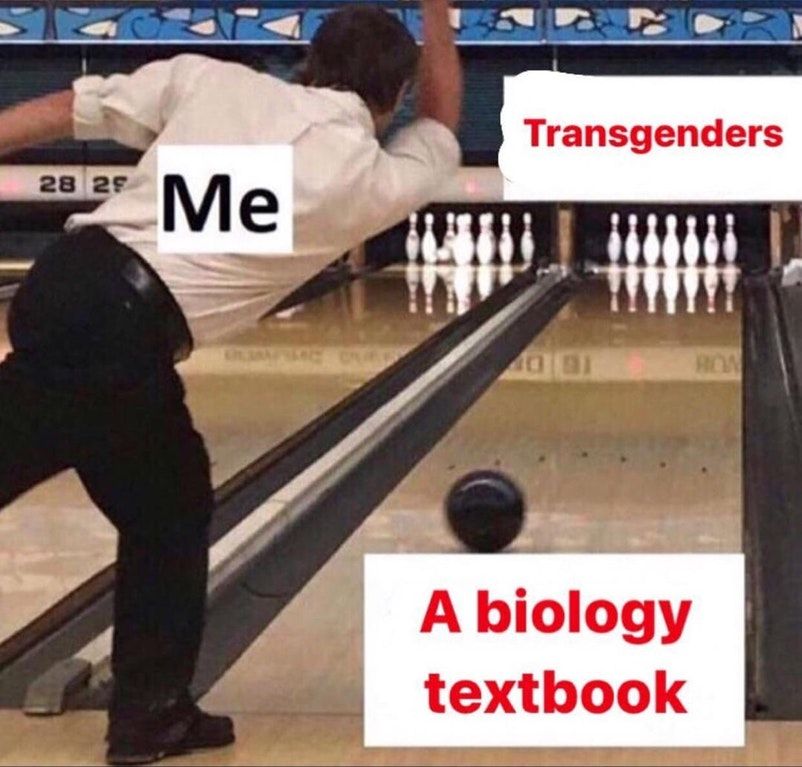 yes