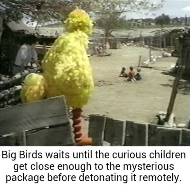 Bird