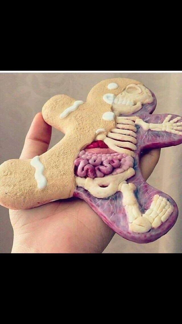 Gingerbread Autopsy.