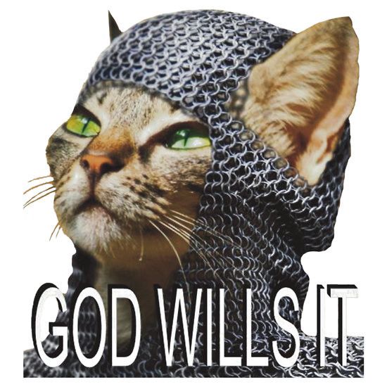 My favourite cat picture and desktop background for downudder