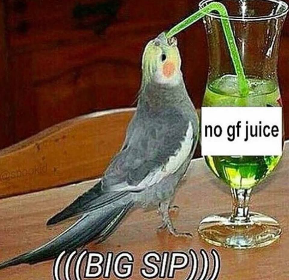 gulp