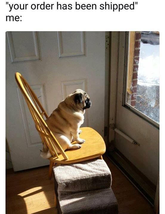 Me waiting for my pickelhaube to arrive